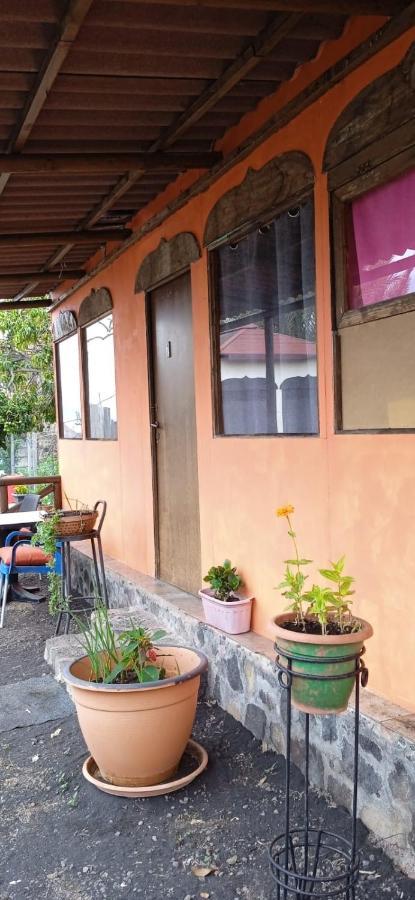 Las Manchas  B&B Amigos De La Naturaleza الغرفة الصورة